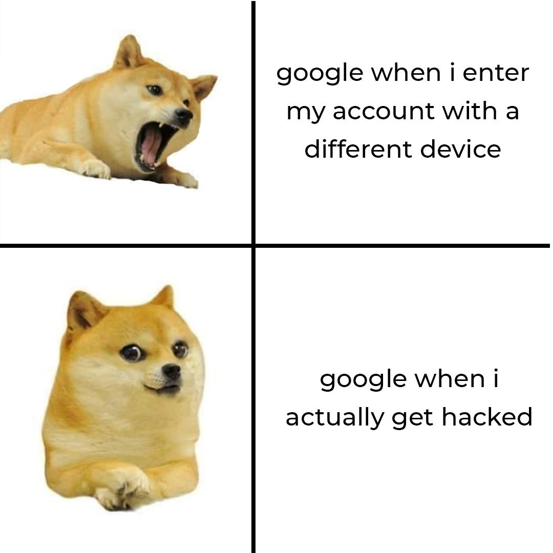 no context doge (@nocontextakim) on Twitter photo 
