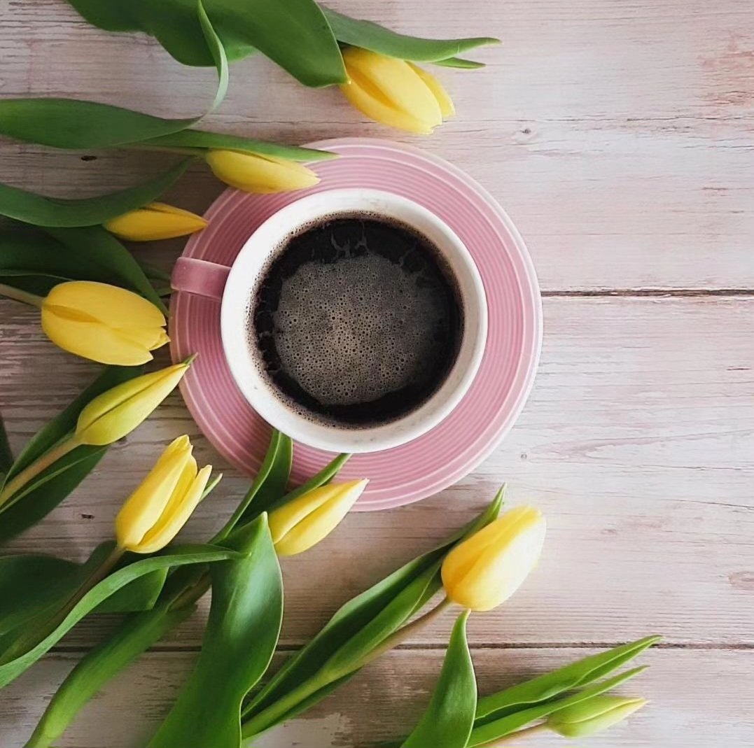 Put yourself at the top of the to-do
list today, and let the rest fall into
place. 

Remember: you don't find a happy life, you create it 💯 

#coffeeart #cupofcoffee #positive #tulips #yellowflowers #remember #happyday #flowersfordays #yourself #goalssetting #factsdaily