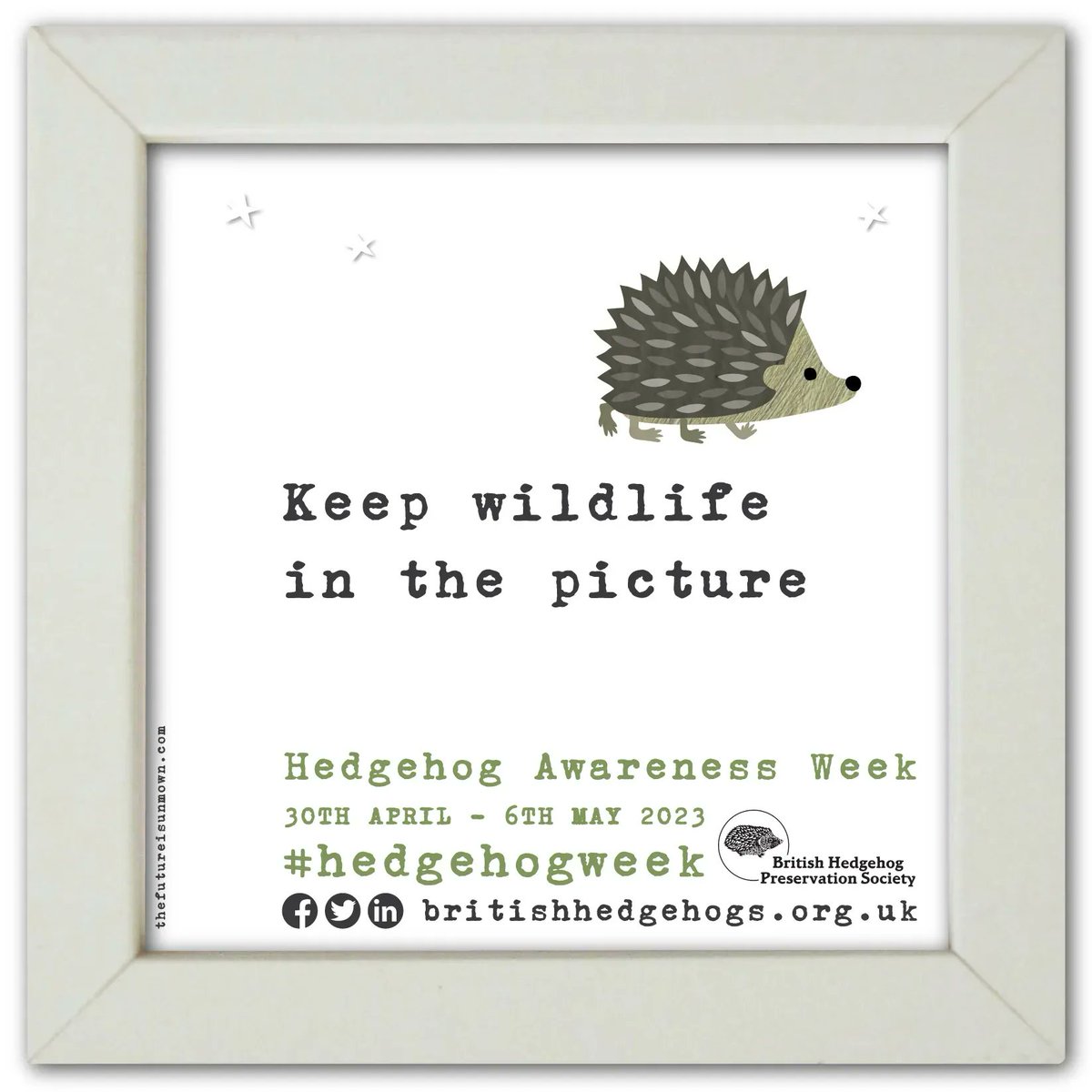 What will you do this #HedgehogWeek ?

🦔 🦔 🦔 

🗓️ 30 April - 6 May