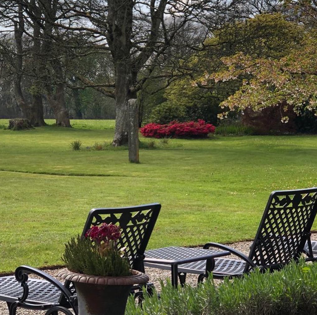 plasbodegroes's tweet photo. Plas Bodegroes is tenderly embraced with intertwined Wisteria which we hope will be bursting into bloom any moment!

To book your self catering holiday for you and your family of up to 20 make your way to https://t.co/fK9wZdMSMY and create a family holiday they will never forget. https://t.co/7LzHoWvsCM