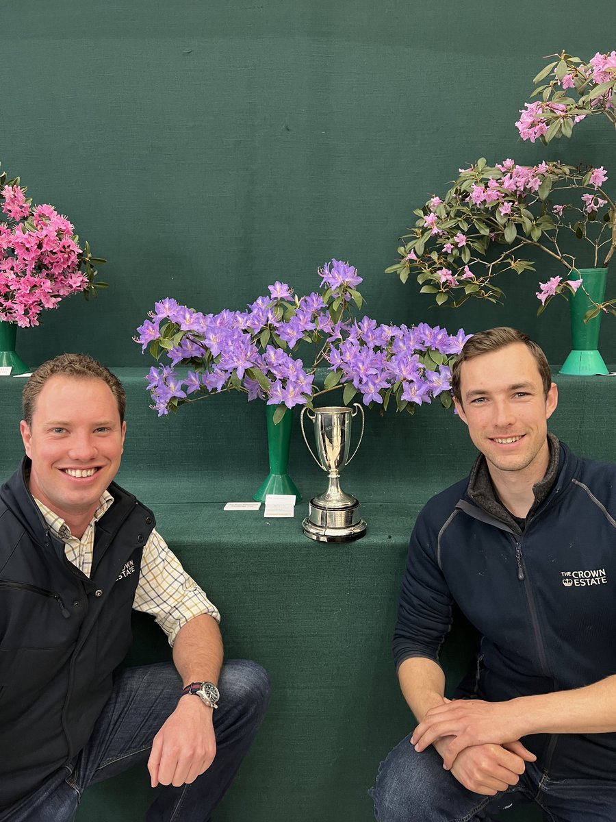 Windsor Great Park tweet media