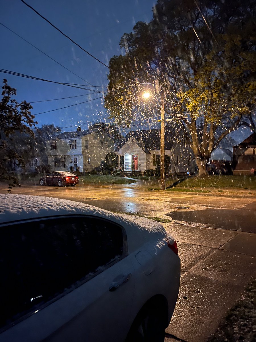 Laura Hardy tweet media