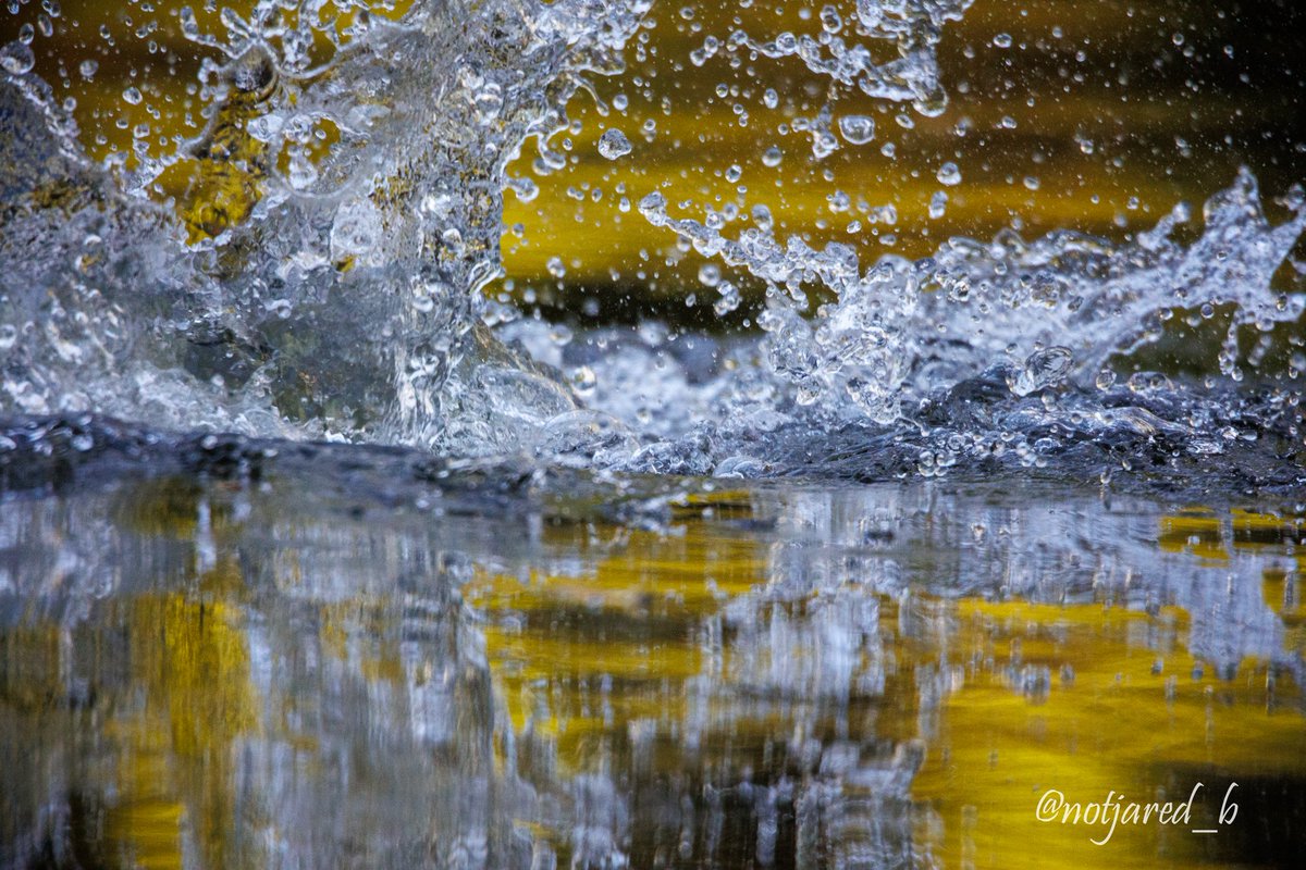 Splash. There was a beaver here moments before this photo was taken.  #aprilwaterchallenge