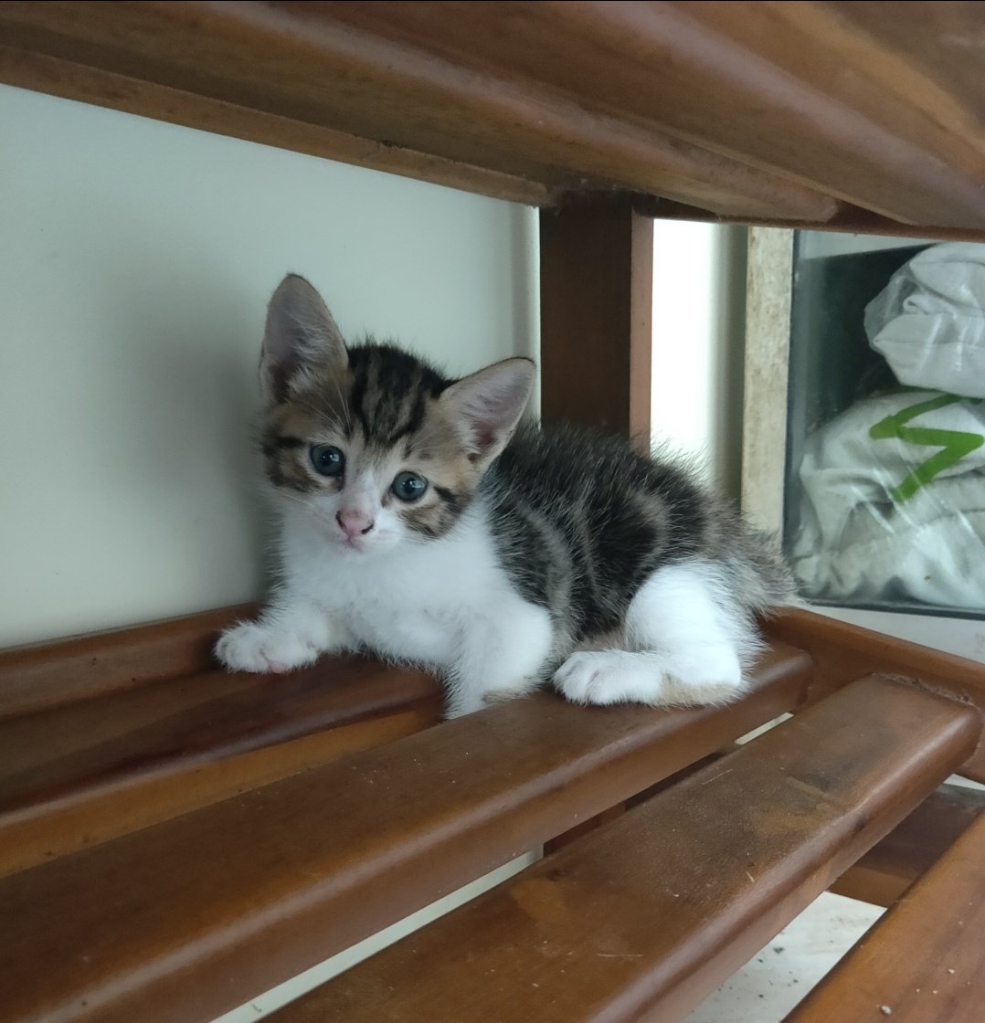 cemongisme's tweet photo. marble                         MARBLE https://t.co/hD3vOzo5B1