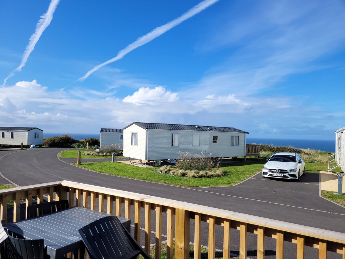 Chopsychops tweet media