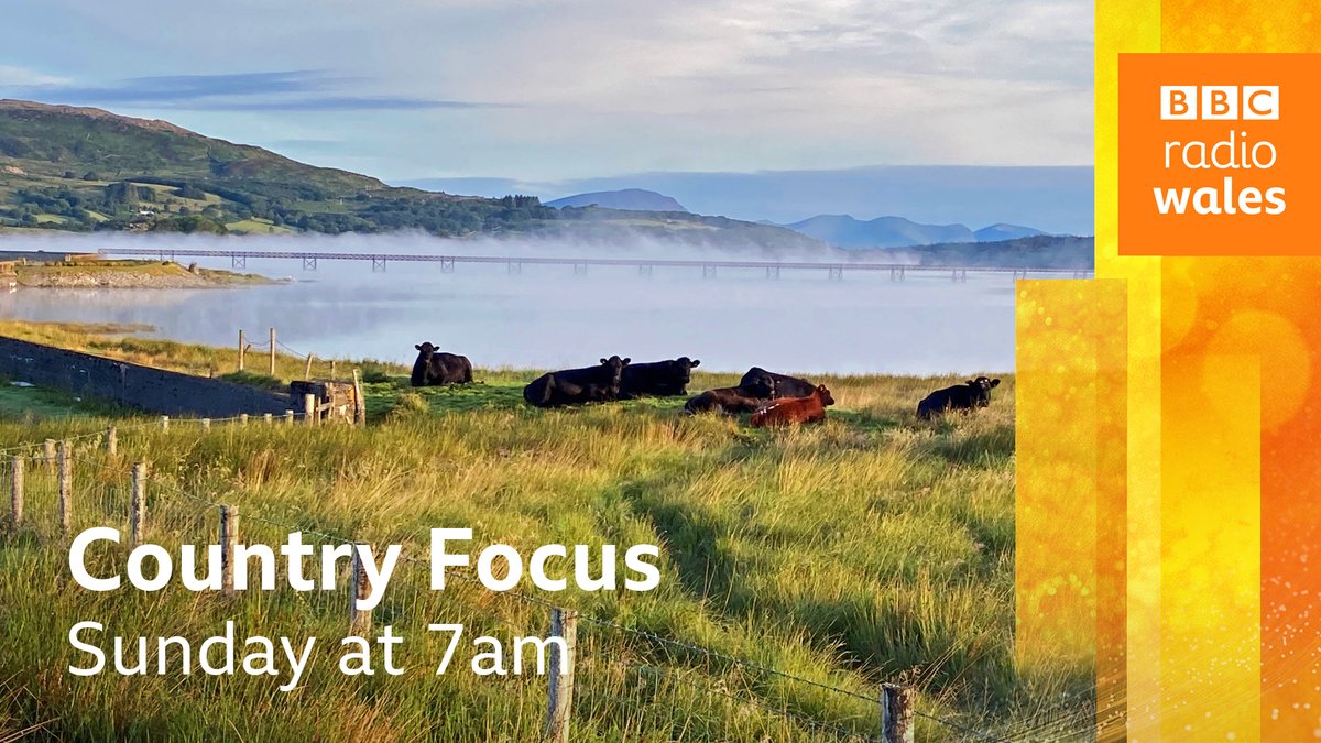 BBC Radio Wales (@bbcradiowales) on Twitter photo Are we leading the way in tackling rural and wildlife crime in Wales?
bbc.in/countryfocus this Sunday morning at 7 o'clock
<a href="/carolineevans10/">caroline evans</a> <a href="/rural_wales/">Rob Taylor QPM Wales Wildlife & Rural</a> <a href="/WGRural/">Welsh Government Rural Affairs</a> <a href="/mariclarecj/">Mariclare Carey-Jones</a> <a href="/Penrhynbirder/">Julian Hughes has left the building</a> <a href="/RSPBCymru/">RSPB Cymru</a> <a href="/Ruth_ITV/">Ruth_TV</a> Are we leading the way in tackling rural and wildlife crime in Wales?
bbc.in/countryfocus this Sunday morning at 7 o'clock
<a href="/carolineevans10/">caroline evans</a> <a href="/rural_wales/">Rob Taylor QPM Wales Wildlife & Rural</a> <a href="/WGRural/">Welsh Government Rural Affairs</a> <a href="/mariclarecj/">Mariclare Carey-Jones</a> <a href="/Penrhynbirder/">Julian Hughes has left the building</a> <a href="/RSPBCymru/">RSPB Cymru</a> <a href="/Ruth_ITV/">Ruth_TV</a>