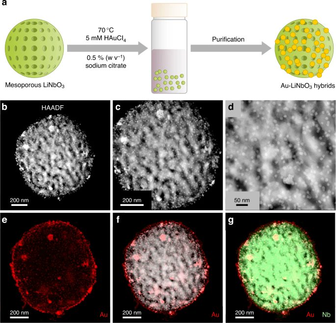 LightSciAppl tweet media