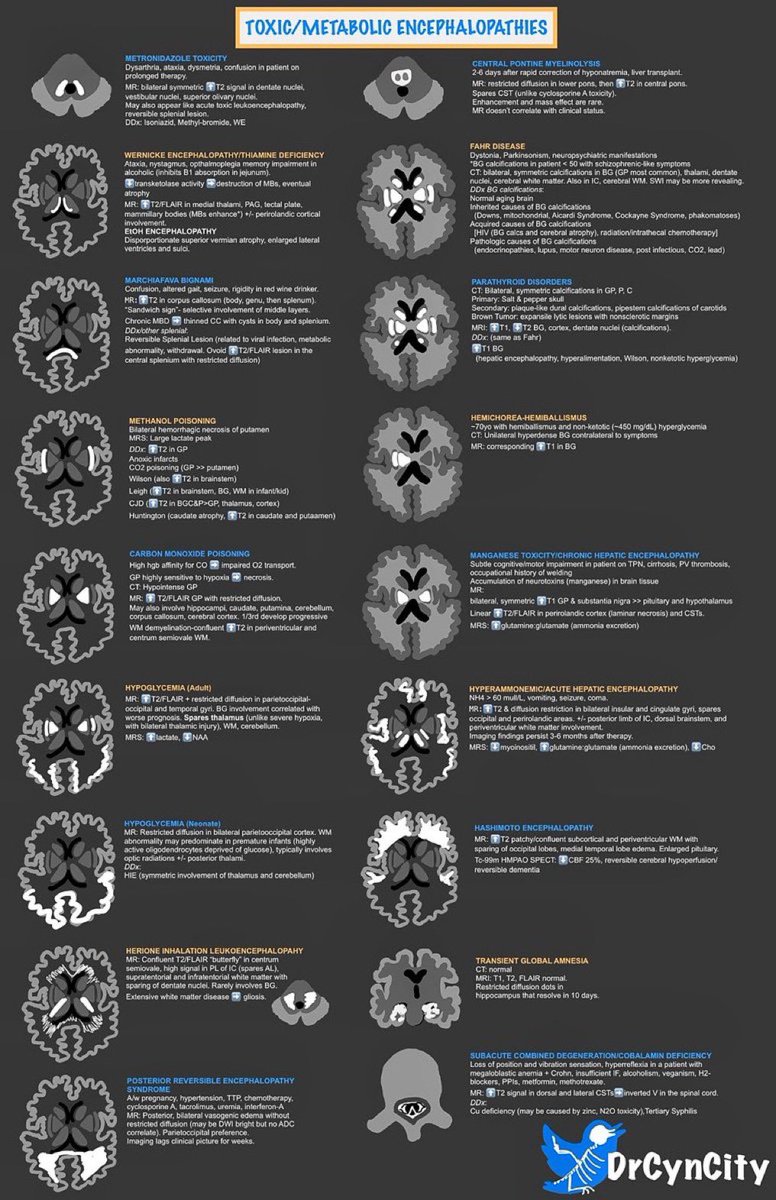 BrownJHM's tweet photo. A great overview of different encephalopathies @drcyncity #MedEd #FOAMed https://t.co/XhQM4fEYrH