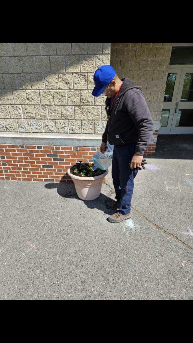 Plant a seed and watch it grow 🪴🌹 #SprucingUpSpring