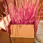 じゃがいもを放置した結果、芽が伸びてクリーチャーが生成された。