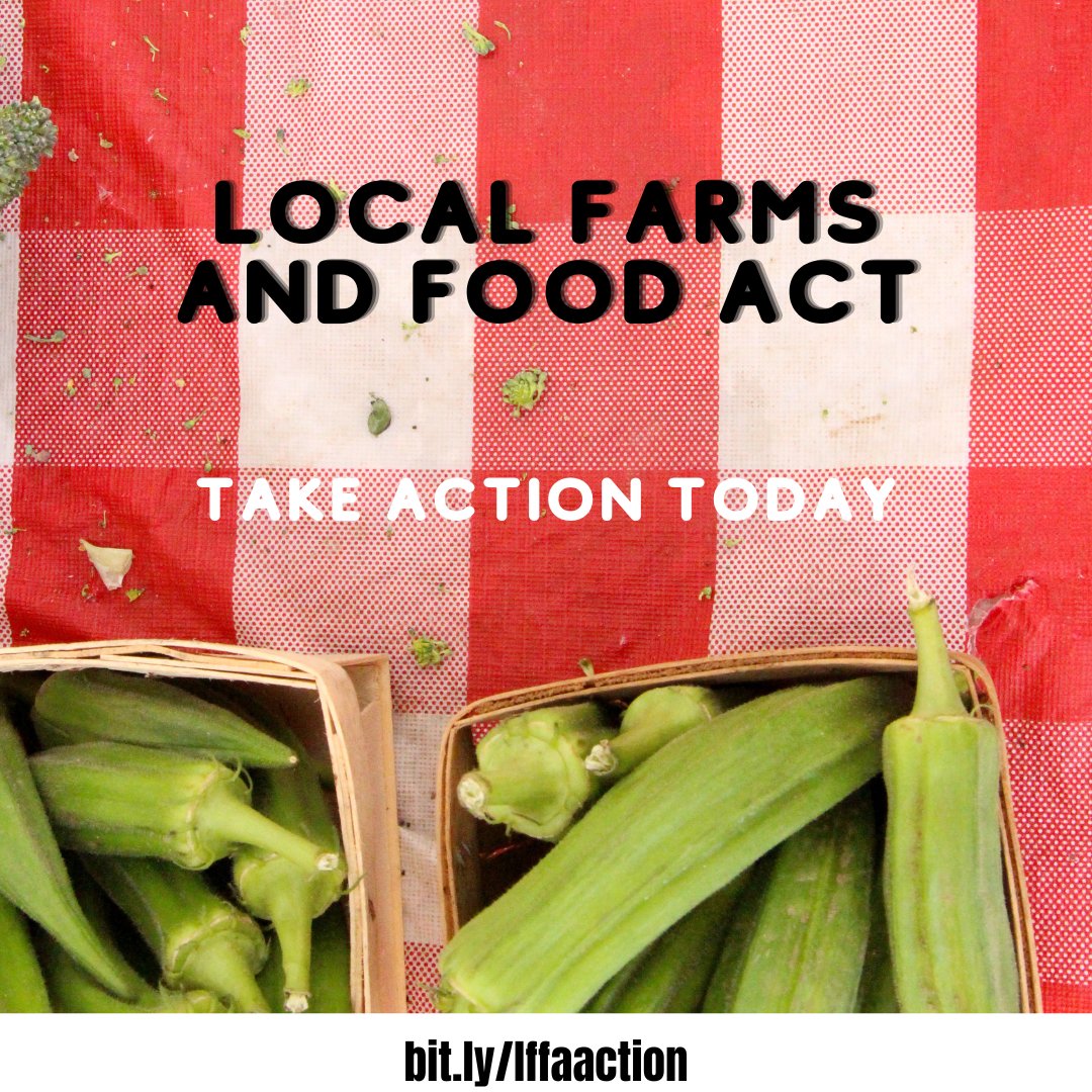 sustainableag's tweet photo. 🥬#TakeAction to support the Local Farms &amp; Food Act! This Bill makes it easier to access local food systems funding &amp; utilize SNAP/nutrition incentives at farmers' markets! And it increases accessibility to the nutritious food we all deserve! #LFFA #localfood #nutritionincentives https://t.co/hRcNULD7V4