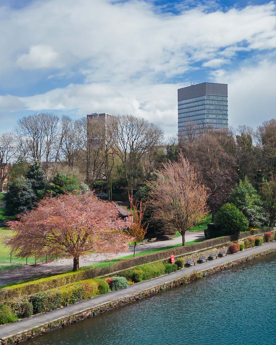 It’s cherry blossom season and we are *loving* it.