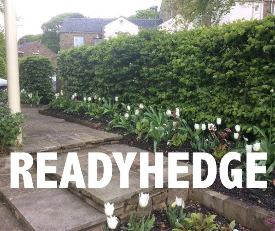 Readyhedge's tweet image. 🌷 May is just around the corner! Are you planning to spend more time in the garden?🌷
Contact us today to get started! #MayIsComing #GardenReady #Readyhedge