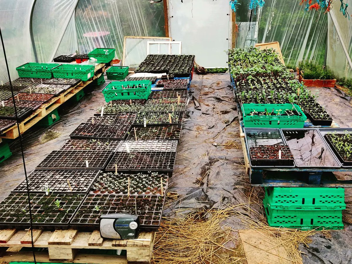 TheCo_opGirl's tweet photo. Myself and AJ from @ucccoopsoc visited the #EastClare Community Co-op yesterday! ⛅
The Co-op has been an important community space for the town of #Scarriff for over 30 years.
They have a lovely #Vegetarian Cafe, with fresh produce grown year-round in their Garden 🥦🍏🥗 https://t.co/Ai8XUTwLM7