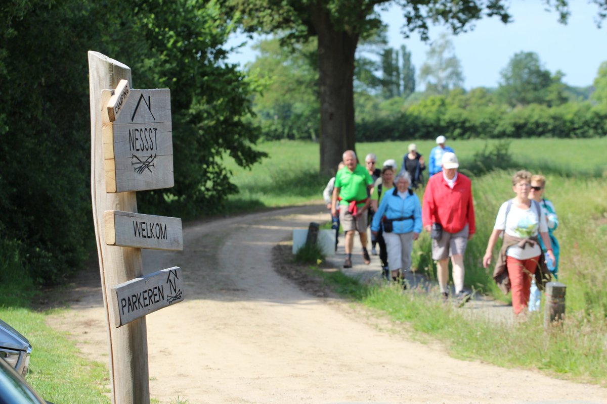 Wandelvierdaagse tweet media