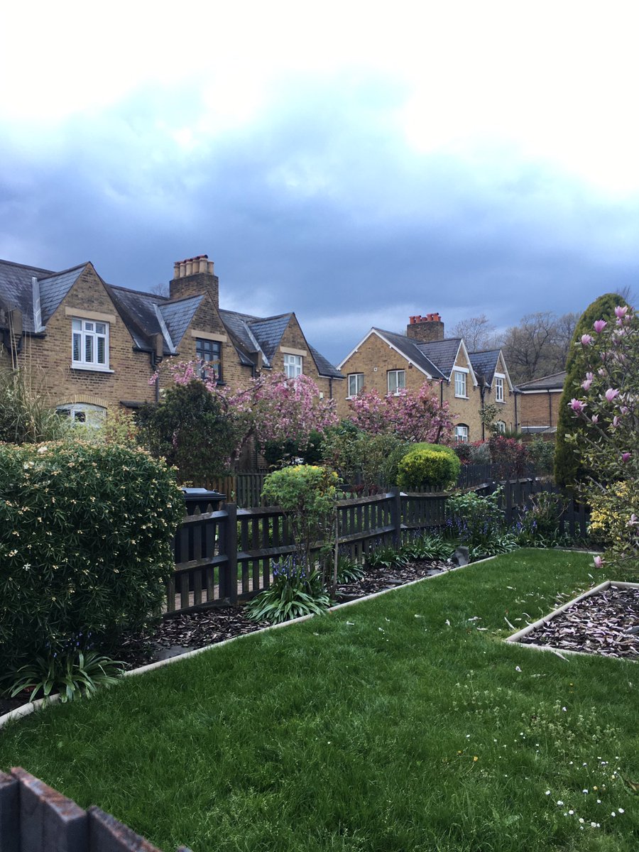 WildPenge's tweet photo. Gorgeous #spring day in #Penge. 
@catoralexandra is that a shaft of light in your tulips or are you just happy to see me? https://t.co/F0K1XhGELD