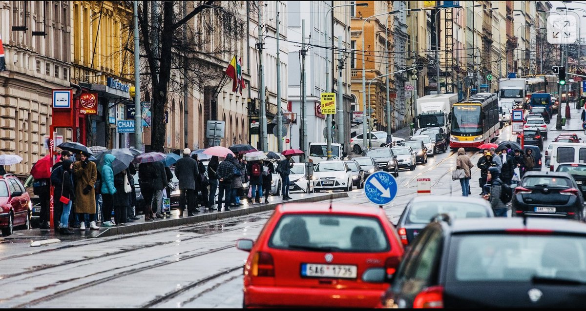 Matěj Michalk Žaloudek 💚 tweet media