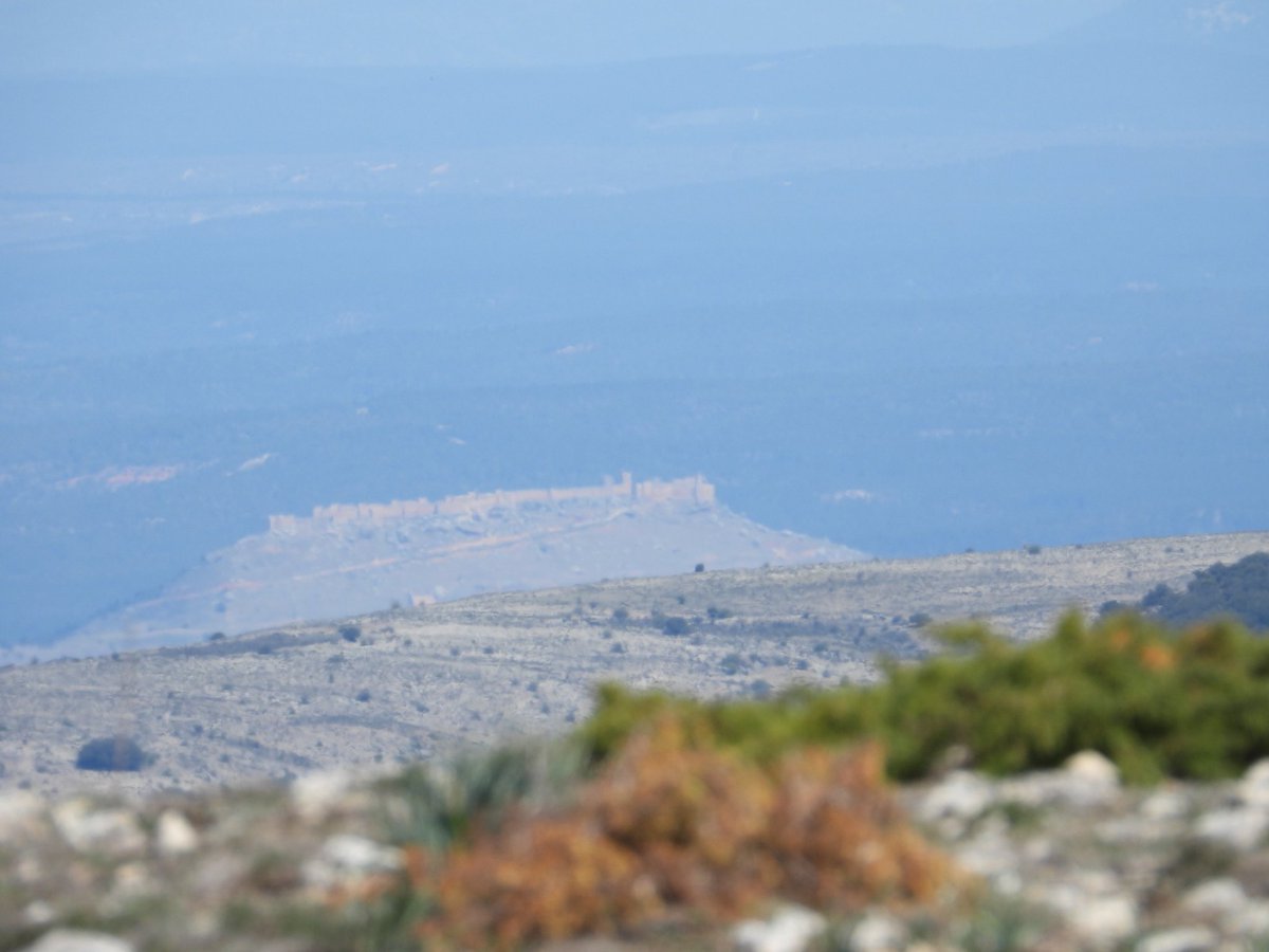 IsaacLopez79's tweet photo. #CastillodeGormaz y #LaRasa vistos desde la #SierradePela.
Buenas vistas. https://t.co/RaFnQjZgS2