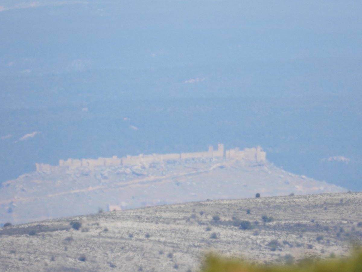 IsaacLopez79's tweet photo. #CastillodeGormaz y #LaRasa vistos desde la #SierradePela.
Buenas vistas. https://t.co/RaFnQjZgS2