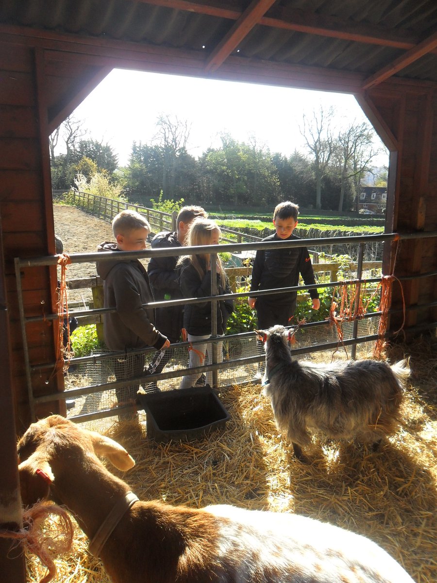 Year3Beck tweet media