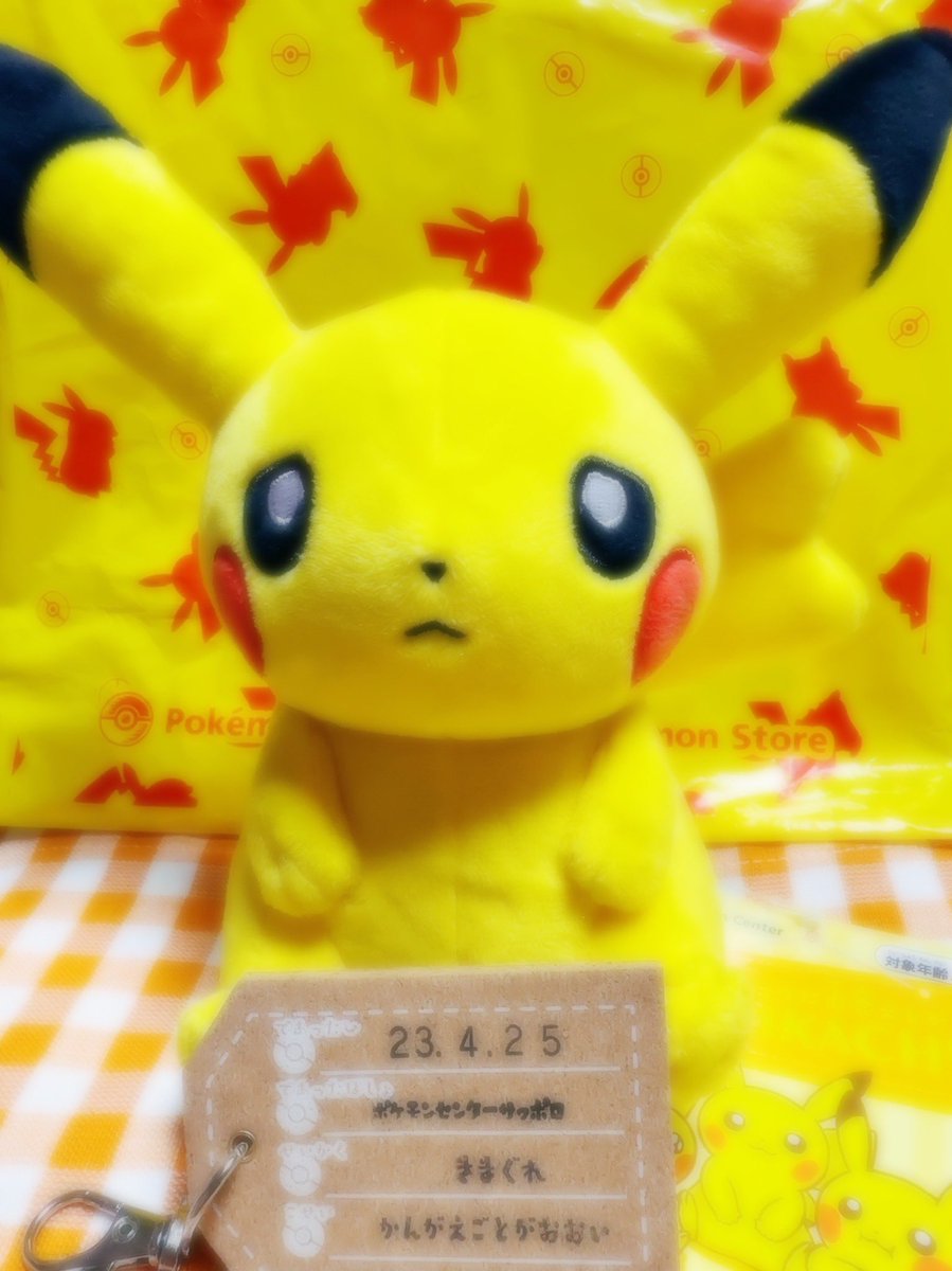 ポケモンセンターに「マイピカチュウ」が登場。それぞれ個体差があって全部違う可愛さ! Togetter マイピカ ぬいぐるみ 7匹セット