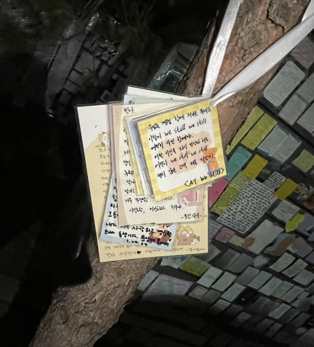 팬매니저님께서 코팅해서 애들이 붙였던 나무에 다시 걸어주셨어요
감사합니다........