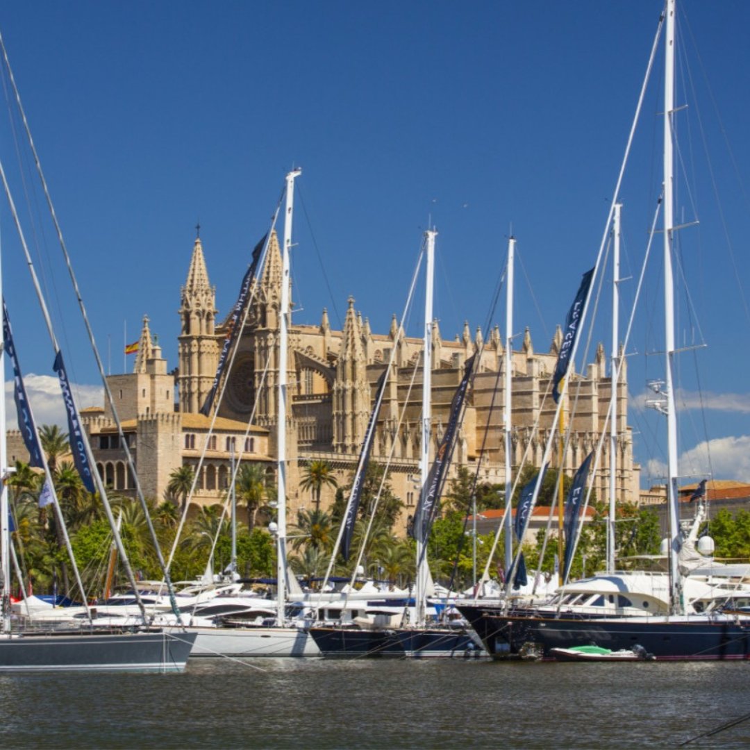 PalmaBoatShow's tweet image. ¿Aún no tienes tus entradas? Puedes conseguirlas a través del link👉🏼  linktr.ee/BoatShowPalma
El PIBS23, contará con un recinto ferial de más 81.000 metros cuadrados... todo un espacio donde disfrutar de la mejor experiencia náutica 💙

#PIBS23