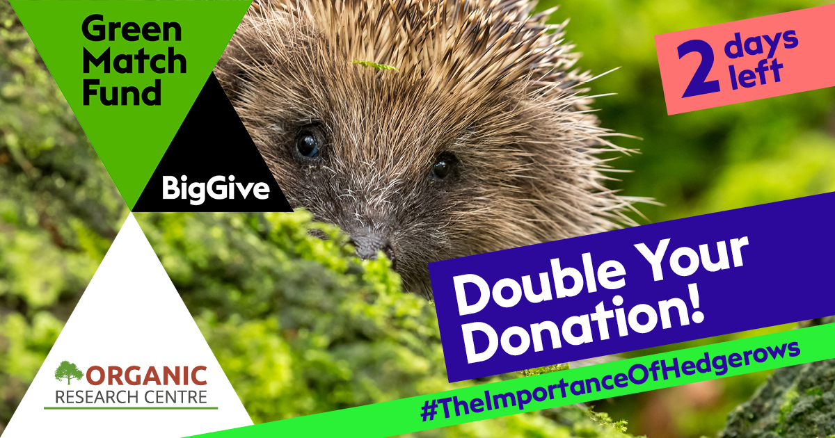 OrgResCent's tweet photo. We're in the final 2 days of  #TheImportanceOfHedgerows appeal. We’ve raised £12,318, so there is £3,841 in matched funding available. Donate today and help us promote the vital role hedgerows play in their local ecology.  

https://t.co/0CGMY5Seo0 #GreenMatchFund https://t.co/iVAiiRTlV3