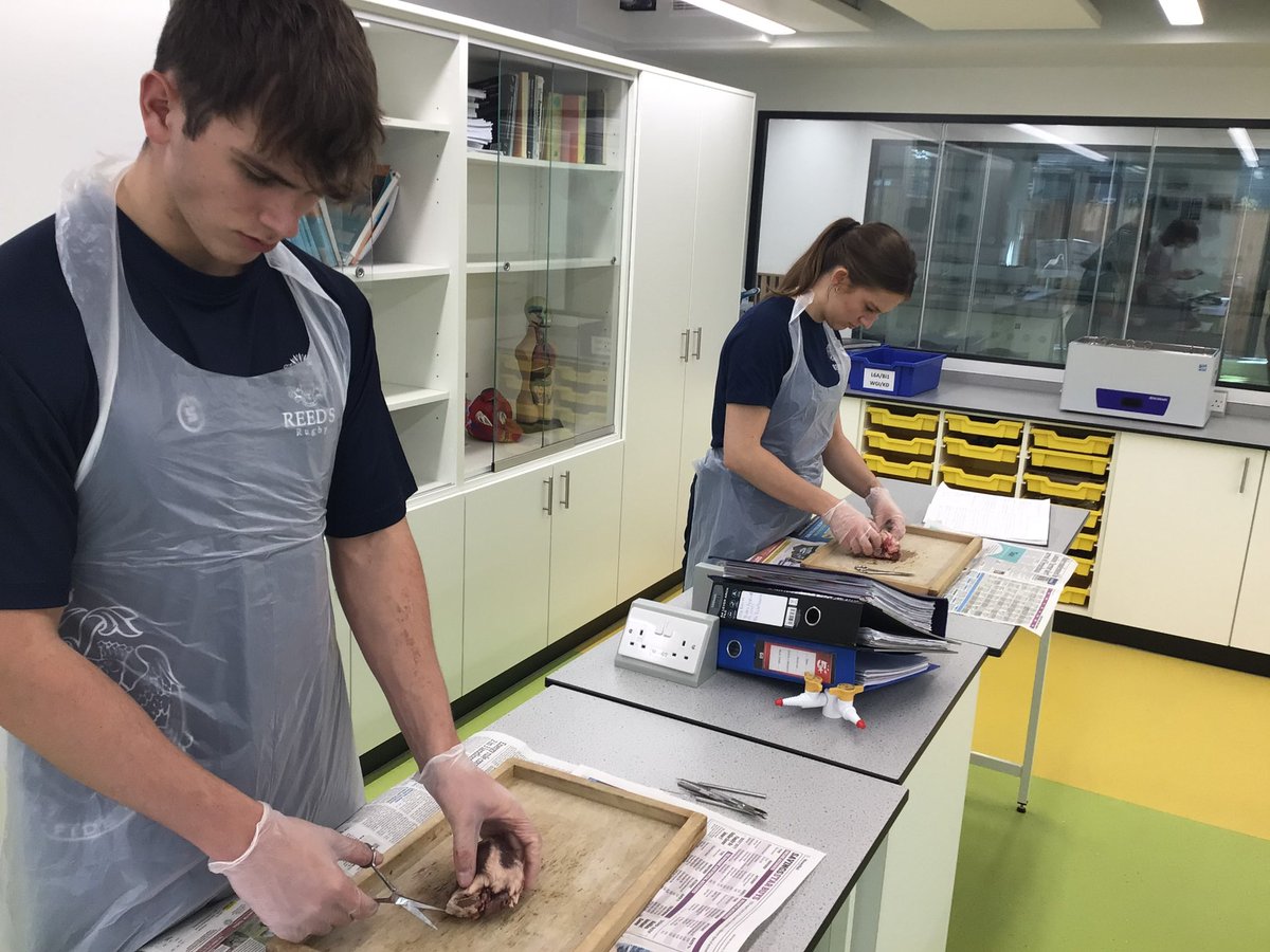 Reed's Science Dept. tweet media