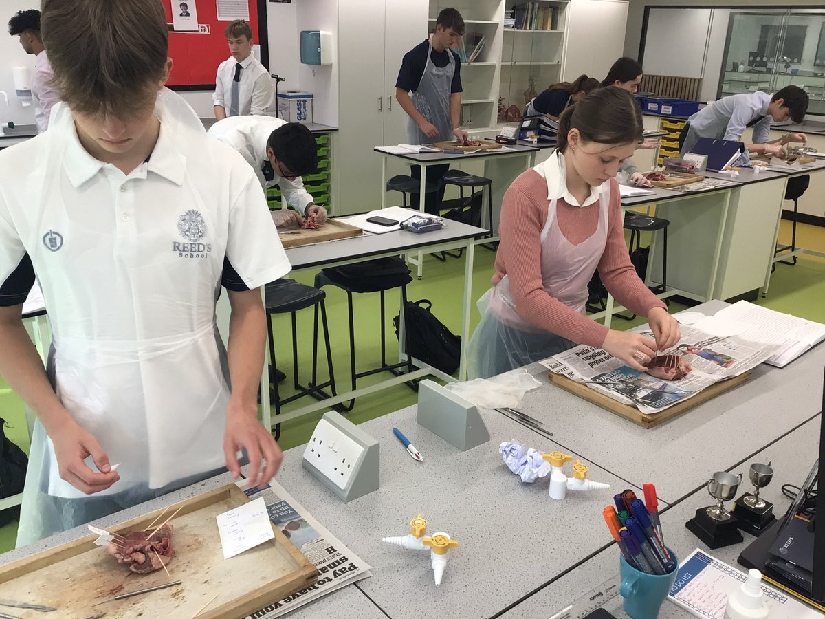 Reed's Science Dept. tweet media