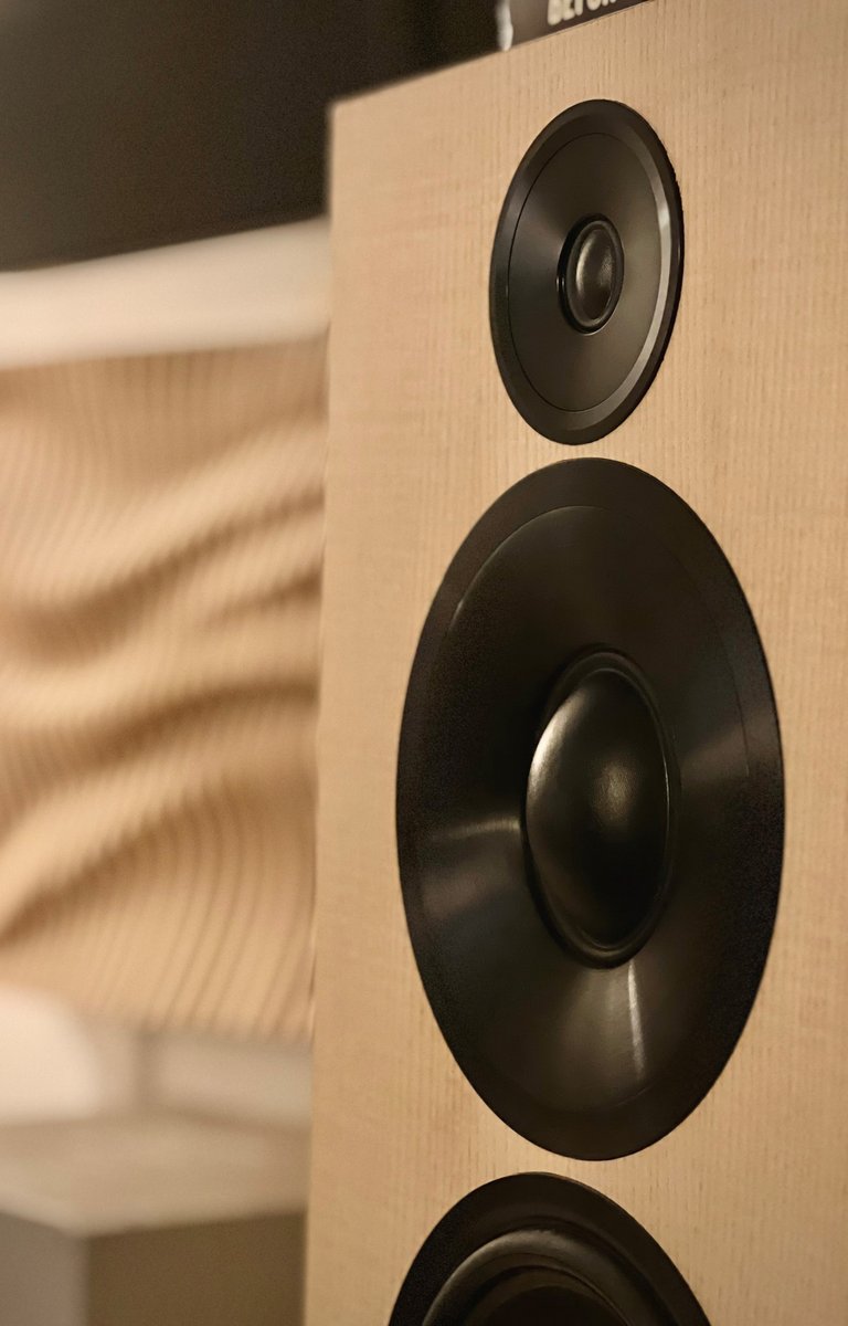 frankhasselriis's tweet photo. DIY Loudspeakers:

Ellipticor-A50-II, built by William, Brooklyn, NY, US 😍

Link to story by William: https://t.co/V2jcZdAhgY

#scanspeak #ellipticor https://t.co/HmHbd0vyNX