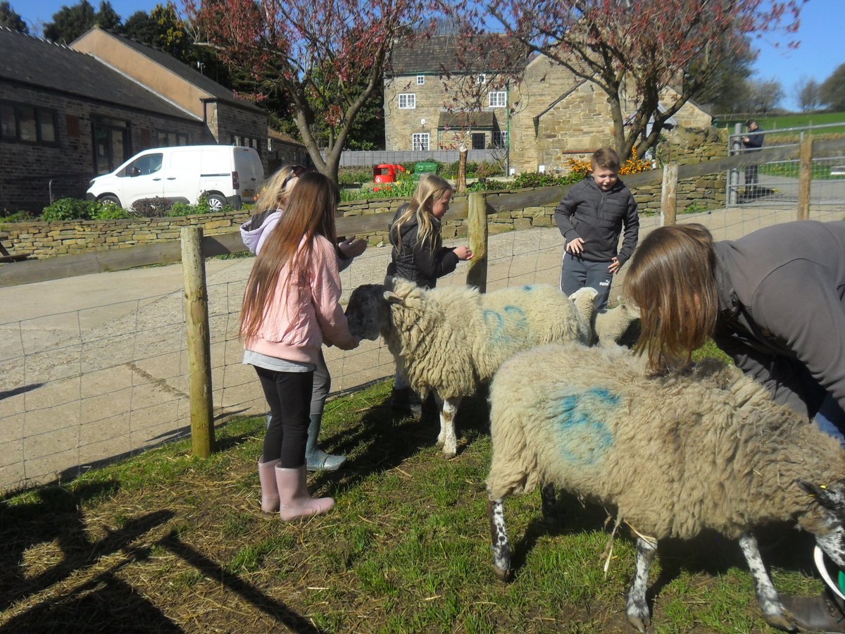 Year3Beck tweet media