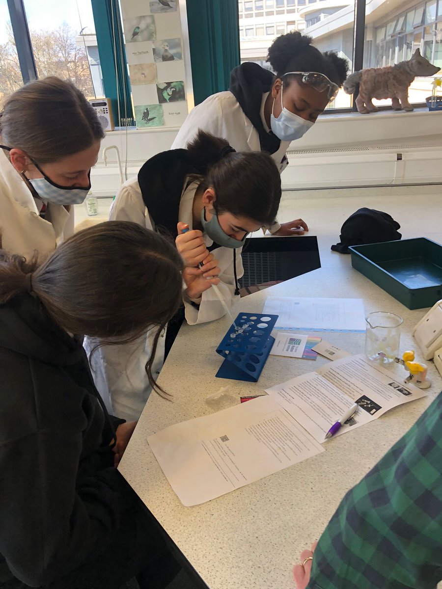 stthomasSTEM tweet media