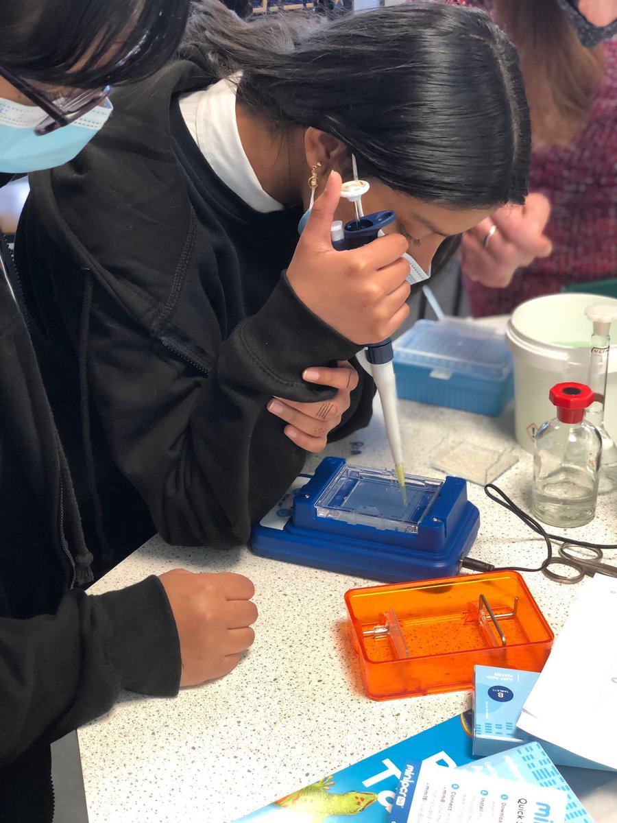 stthomasSTEM tweet media