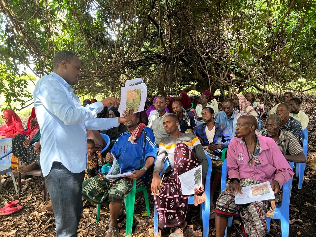 Nuros9Solutions's tweet photo. Balad district authority, IOM, and Nuros9 Solutions team up with local farmers in the stabilisation activity for the newly recovered village of Mareerey in Hirshabelle; Day1 of the training of local farmers on best practices focusing on maize and cowpeas cultivation. https://t.co/zeBNKsGaSt