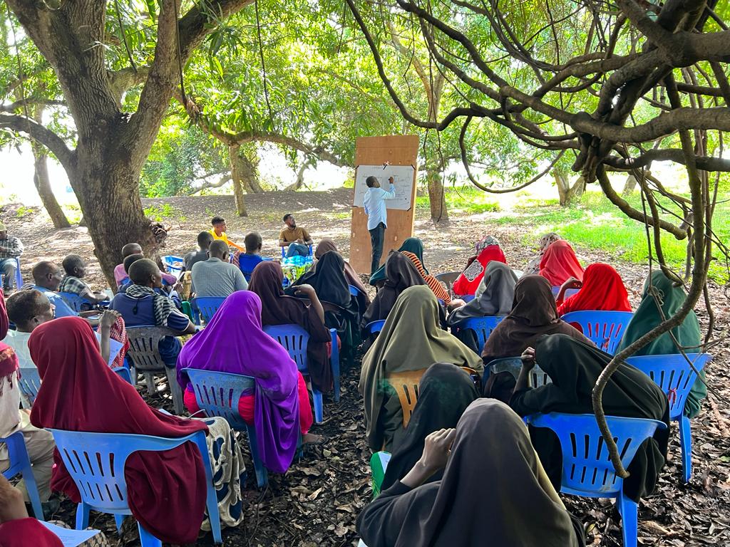 Nuros9Solutions's tweet photo. Balad district authority, IOM, and Nuros9 Solutions team up with local farmers in the stabilisation activity for the newly recovered village of Mareerey in Hirshabelle; Day1 of the training of local farmers on best practices focusing on maize and cowpeas cultivation. https://t.co/zeBNKsGaSt