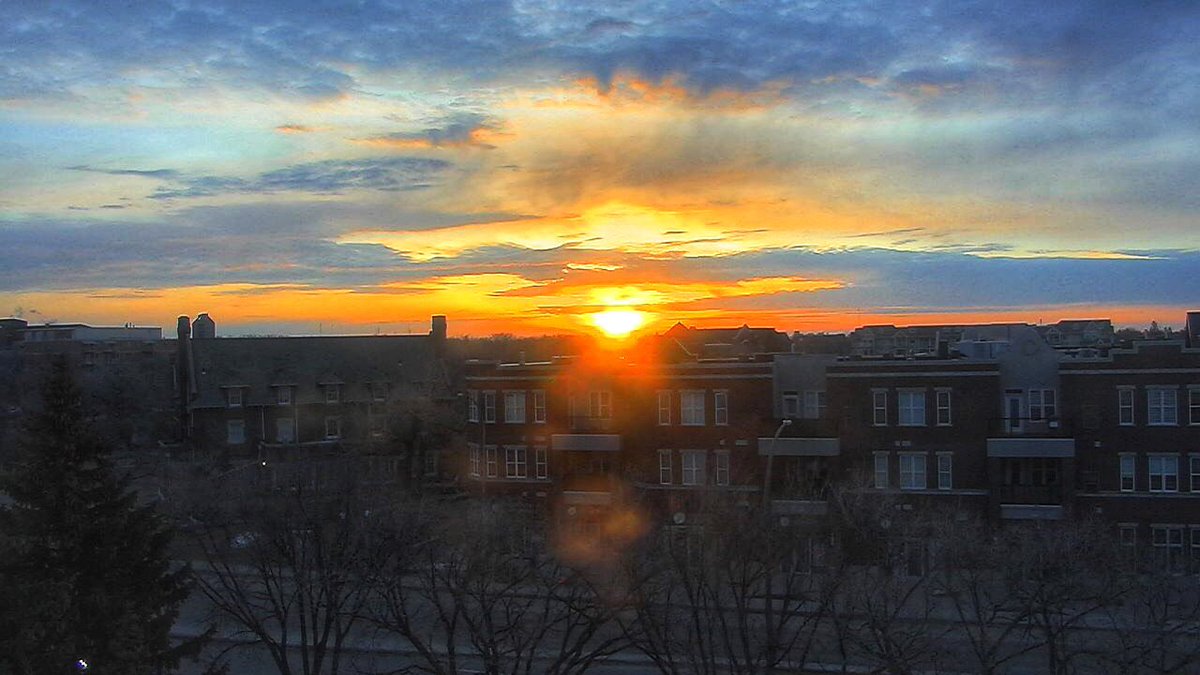 Chris Arden Haynes tweet media