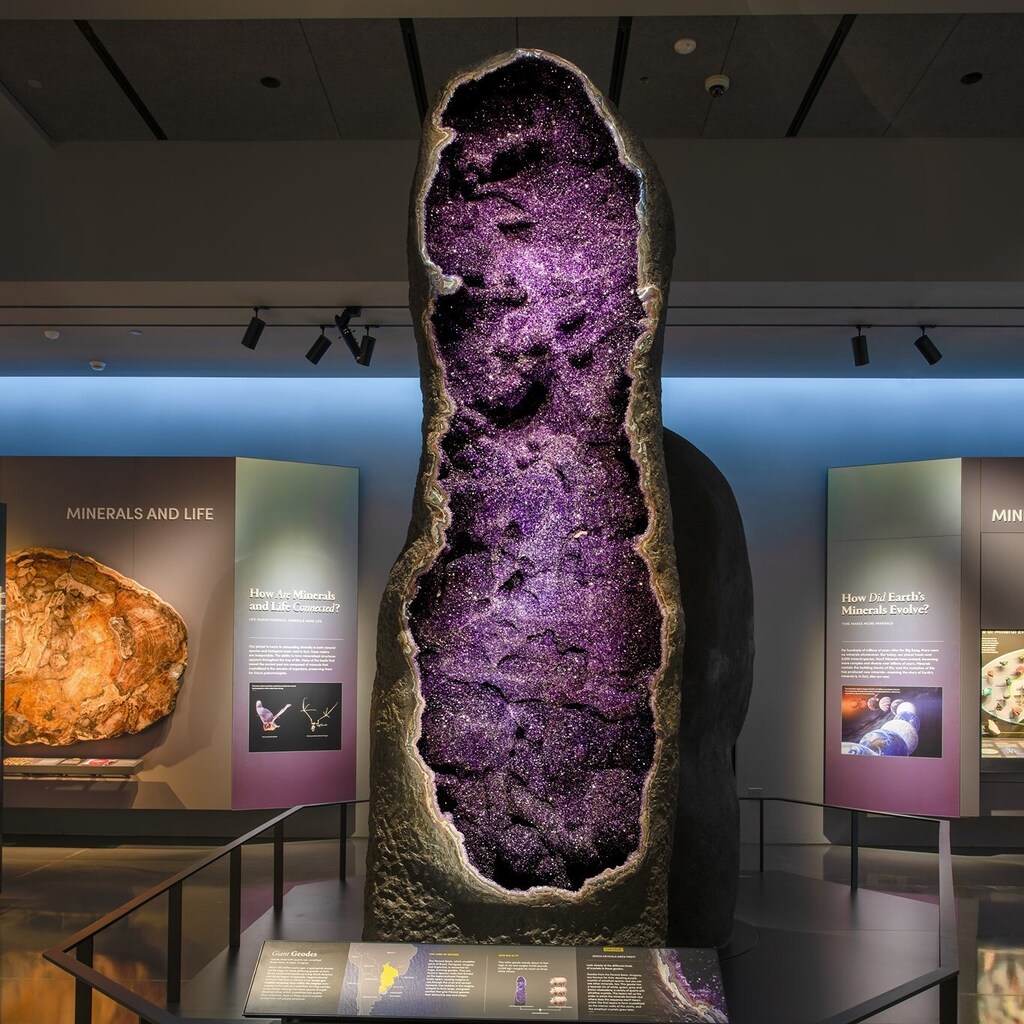 Amethyst is a violet variety of quartz.
This 12 foot (3.6 meter) high, 9,000 pound (4082 kg) amethyst geode.
📷D. Finnin/© AMNH