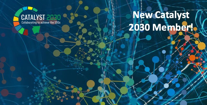 Inkosi Emmanuel Gift Mlauzi Mulangeni Xholanqa tweet media