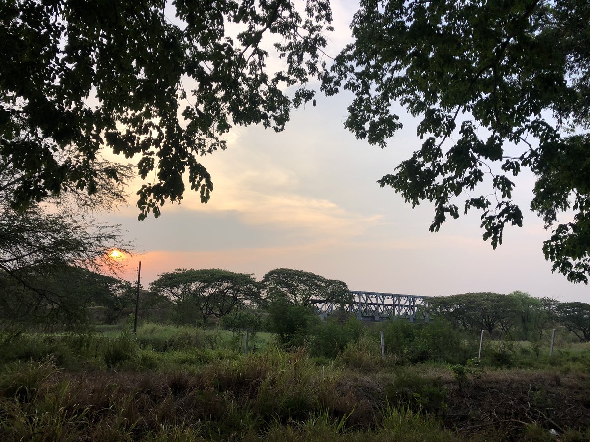 SomphongSukhop7's tweet photo. ยามเย็น https://t.co/JrtwqXpGmg