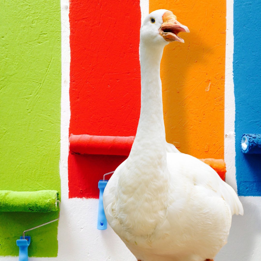 Are you a #MetGala follower? May 6th, Critical Mass Art Gallery in Port Hope brings you an alternative with the Goose Ball. It's a quirky, affordable, "anti-gala", focused on celebrating art, culture and creative self-expression. - criticalmassart.com/goose-ball/