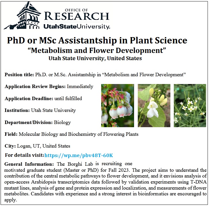 📌 PhD or MSc Assistantship in Plant Science🌱 “Metabolism and Flower Development” at Utah State University, United States 🇺🇸... Please Retweet and spread the word! For details visit the link below: wp.me/pbv48T-60K