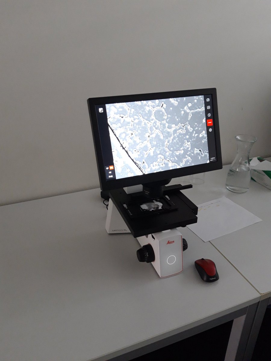LorentzPascal's tweet photo. MICA Demo by @LeicaMicro at the @DepBiomedicine this week. There are still some free slots available if you want to come with your samples. There is even the MATEO TL available to be checked out. https://t.co/T2qojCdSgI