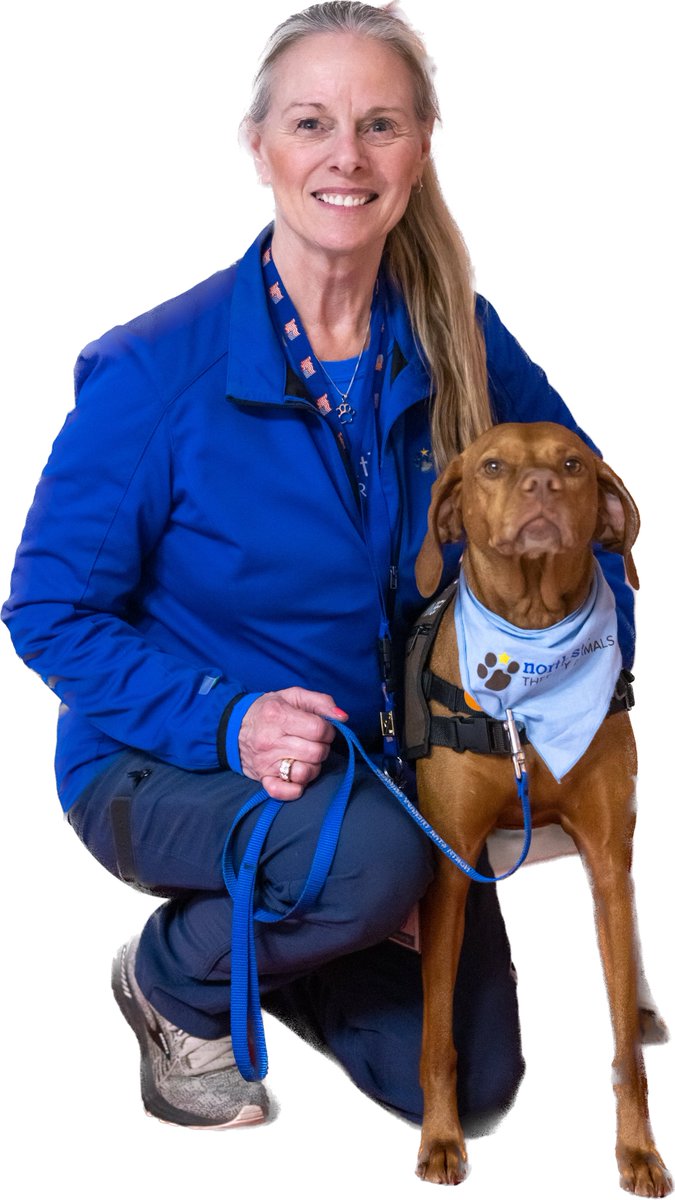 cpriesz's tweet photo. Check out my #treatsandsweetsday for @pet_partners photo https://t.co/K0u6zD1SZ4 https://t.co/vJyk5E0By9