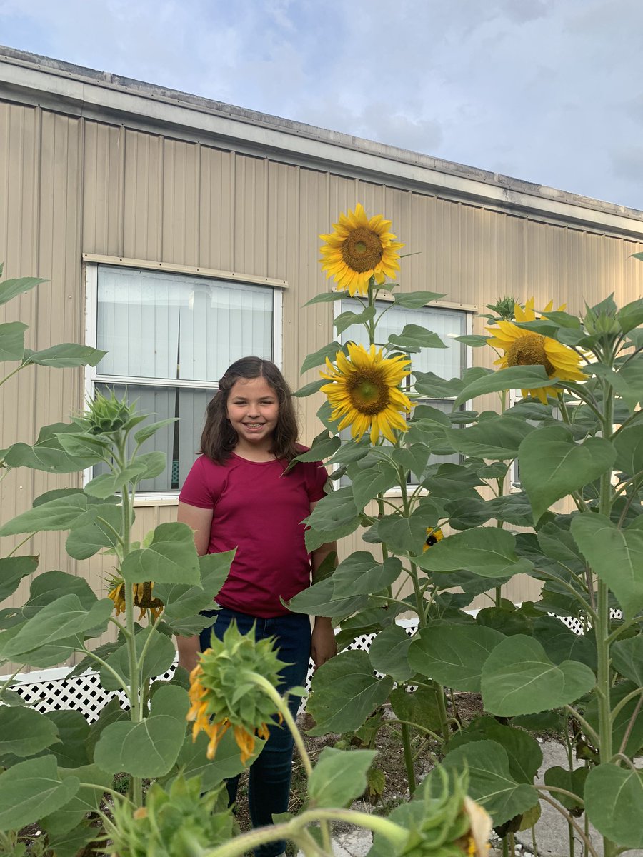 MsKerlek tweet media