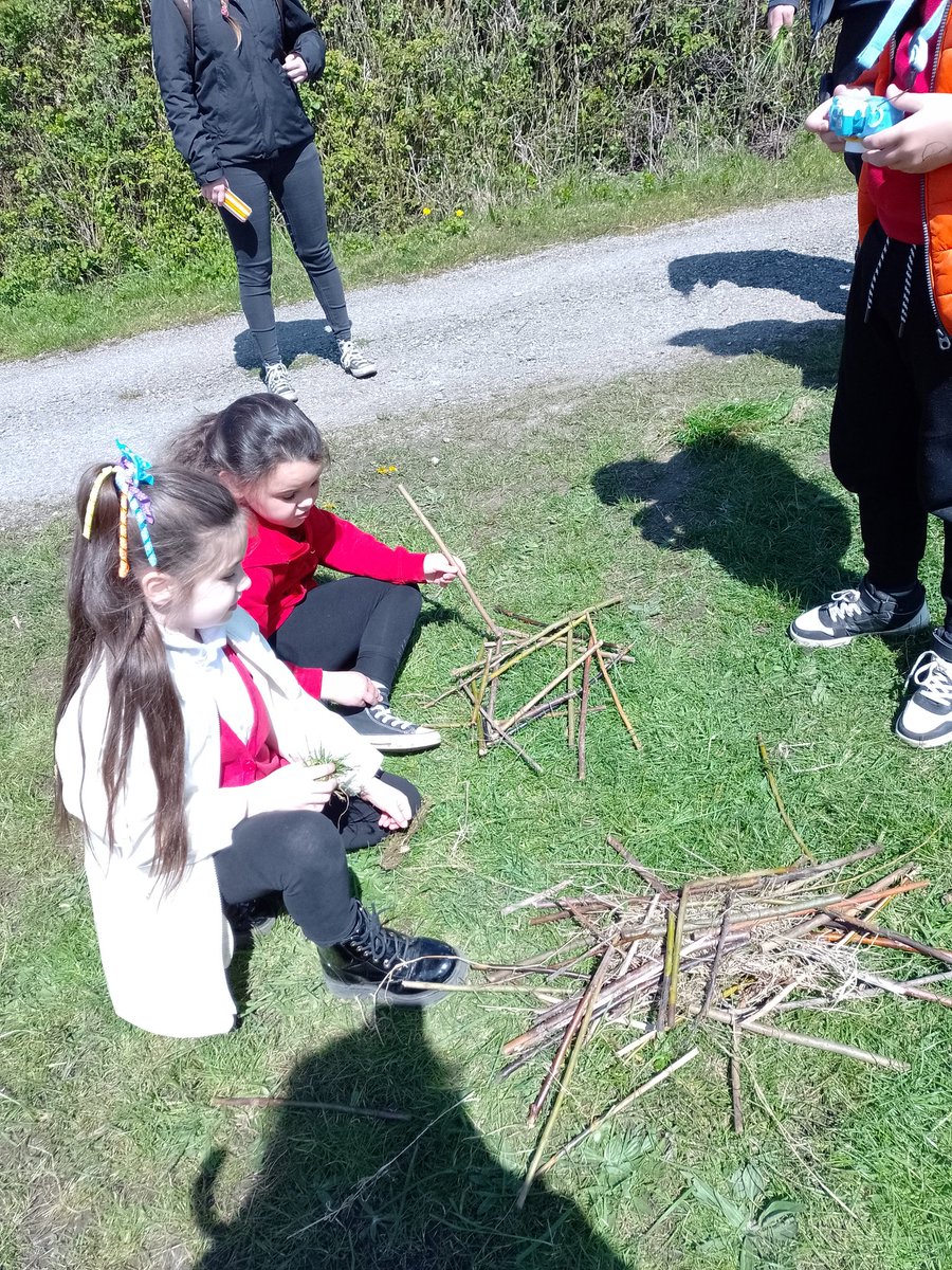 CraigfelenP's tweet photo. Busy building nests!! #cfp2 #generationwild https://t.co/jMb3LA5HMi