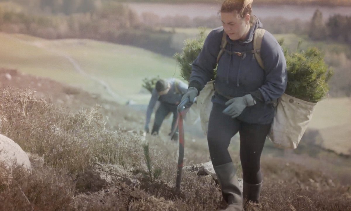 We have now planted over 500,000 trees in The Lost Forest. 🌳🌲🌎

A momentous achievement &amp; we still a long way to go!

Thank you so much to Scottish Woodlands &amp; everyone who has worked so hard to move this huge project forward.