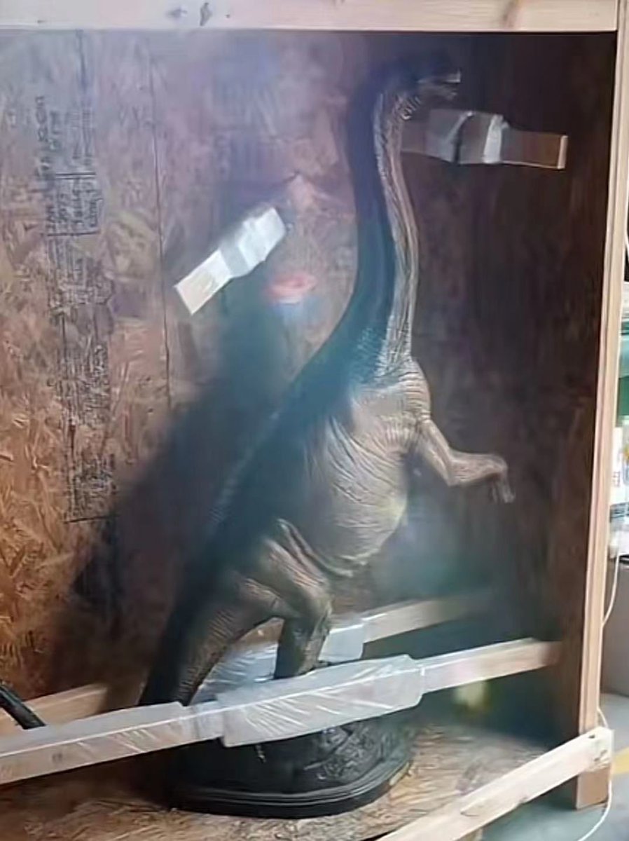 x_seaver's tweet photo. My Jobaria has arrived. Bronze, ed. 6.
1/8 scale sculpt by Michael Trcic.
#Jobaria #Sauropoda #Tiouraren #Jurassic #Dinosaurs #Dinosaur #MichaelTrcic https://t.co/Lk5tESnsx2