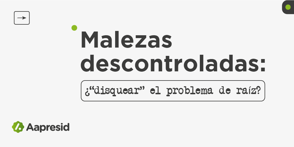 HILO - NO a la LABRANZA🧵

Desde hace años, las malezas resistentes y tolerantes parecen un problema fuera de control, llevando a muchos productores a recurrir a la labranza como “la única salida”.

¿𝐏𝐞𝐫𝐨 𝐥𝐨 𝐞𝐬? 🧐👇🏽