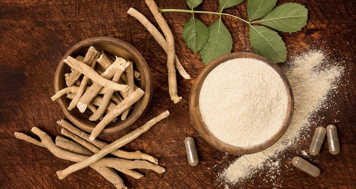 QuaveEthnobot's tweet photo. Feeling stressed about final exams? This plant may help.
Read my latest in Nature’s Pharmacy.

Link to newsletter in bio!

#ashwagandha #stress #college #exams #mentalhealth #medicinalplant https://t.co/N9paQsLFdf